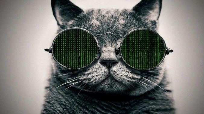 能够自己一个人创业的全栈web码农fullstack developer要会哪些技术？